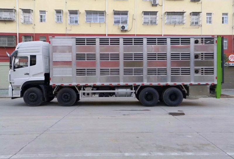 Dongfeng Tianlong 4×2 Front / 8×4 Rear Pig Transport Truck [Best Seller]