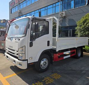 General Cargo Truck Factory for Sale, Isuzu 5-Ton General Cargo Truck 4X2 Drive and 4WD Drive